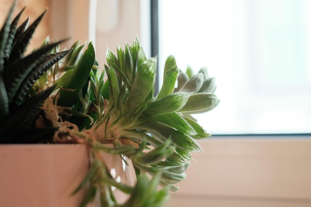 Friendly Border City Design Apartments Lisboa Ngoại thất bức ảnh