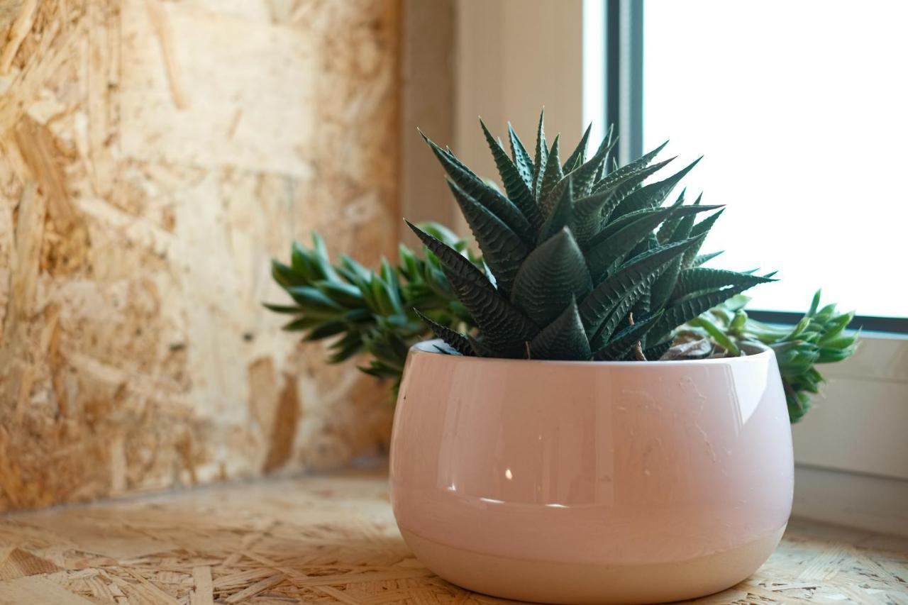 Friendly Border City Design Apartments Lisboa Ngoại thất bức ảnh
